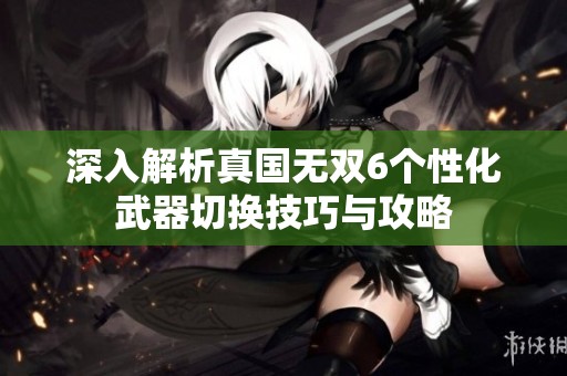 深入解析真国无双6个性化武器切换技巧与攻略