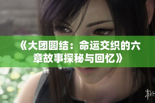 《大团圆结：命运交织的六章故事探秘与回忆》
