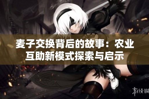 麦子交换背后的故事：农业互助新模式探索与启示