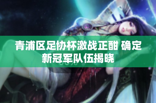 青浦区足协杯激战正酣 确定新冠军队伍揭晓