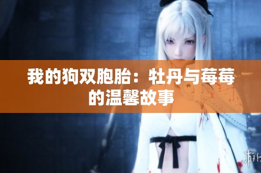 我的狗双胞胎：牡丹与莓莓的温馨故事