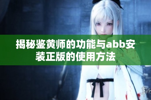 揭秘鉴黄师的功能与abb安装正版的使用方法