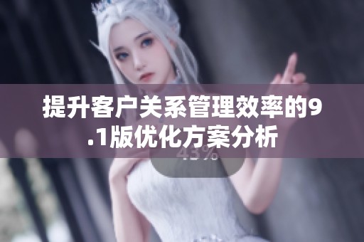 提升客户关系管理效率的9.1版优化方案分析