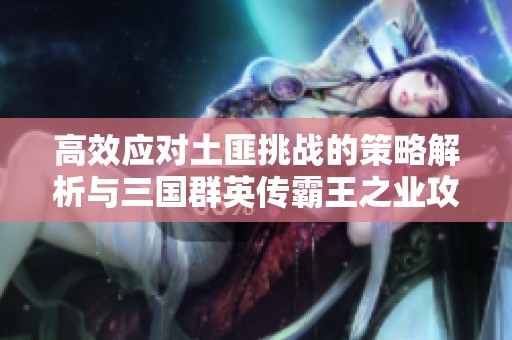 高效应对土匪挑战的策略解析与三国群英传霸王之业攻略
