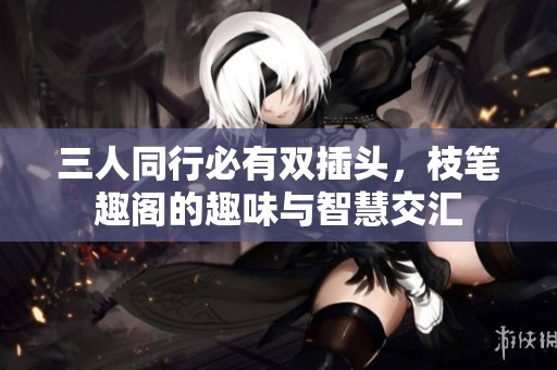 三人同行必有双插头，枝笔趣阁的趣味与智慧交汇