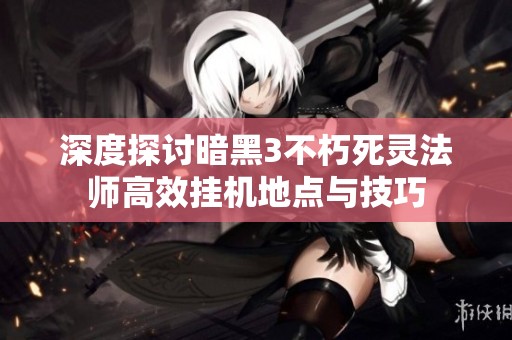 深度探讨暗黑3不朽死灵法师高效挂机地点与技巧