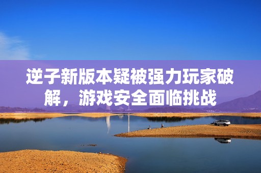 逆子新版本疑被强力玩家破解，游戏安全面临挑战
