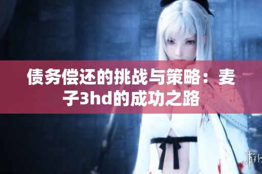 债务偿还的挑战与策略：麦子3hd的成功之路