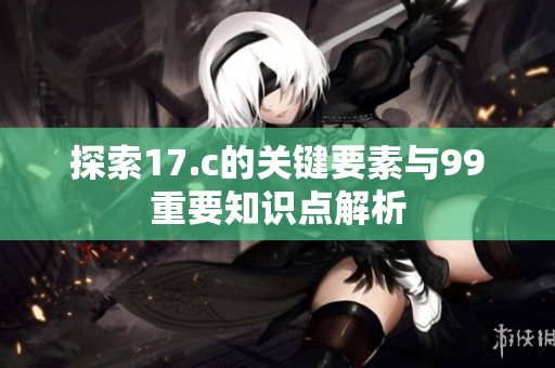 探索17.c的关键要素与99重要知识点解析