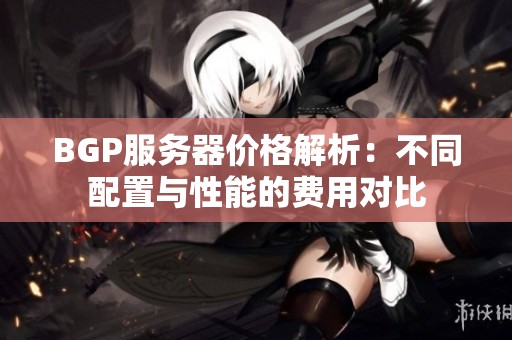 BGP服务器价格解析：不同配置与性能的费用对比