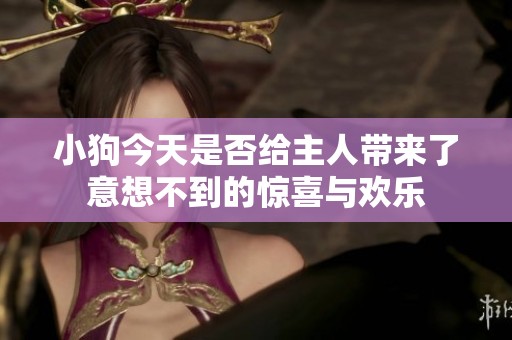 小狗今天是否给主人带来了意想不到的惊喜与欢乐