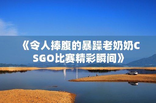 《令人捧腹的暴躁老奶奶CSGO比赛精彩瞬间》