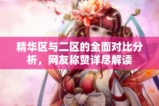 精华区与二区的全面对比分析，网友称赞详尽解读