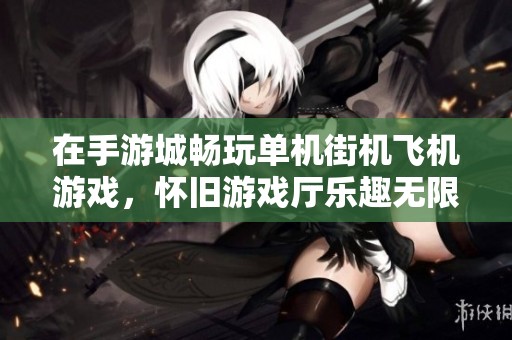 在手游城畅玩单机街机飞机游戏，怀旧游戏厅乐趣无限