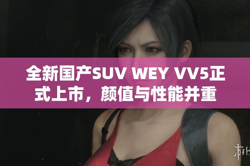 全新国产SUV WEY VV5正式上市，颜值与性能并重