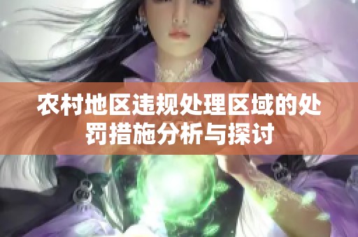 农村地区违规处理区域的处罚措施分析与探讨