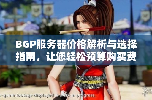BGP服务器价格解析与选择指南，让您轻松预算购买费用