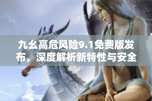 九幺高危风险9.1免费版发布，深度解析新特性与安全隐患