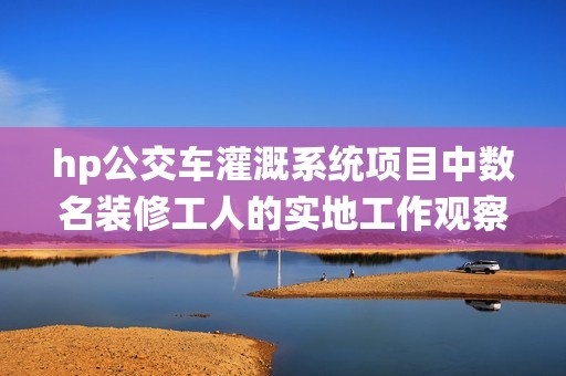 hp公交车灌溉系统项目中数名装修工人的实地工作观察与反思