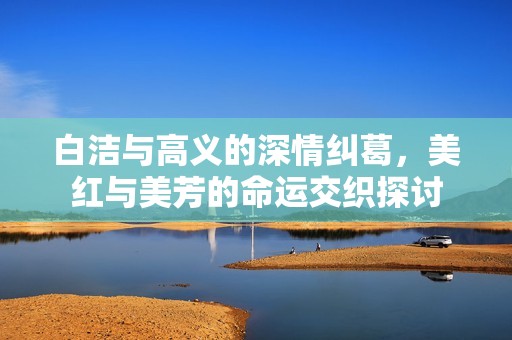 白洁与高义的深情纠葛，美红与美芳的命运交织探讨