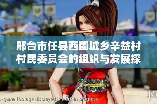 邢台市任县西固城乡辛益村村民委员会的组织与发展探讨