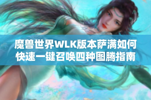 魔兽世界WLK版本萨满如何快速一键召唤四种图腾指南