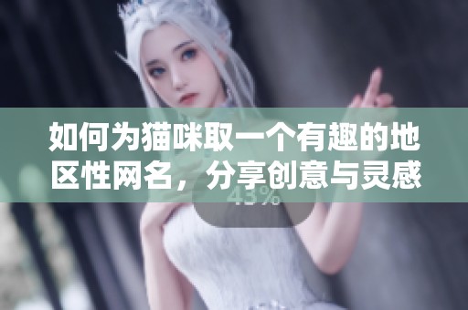 如何为猫咪取一个有趣的地区性网名，分享创意与灵感