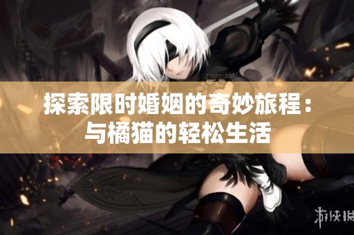 探索限时婚姻的奇妙旅程：与橘猫的轻松生活