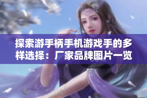 探索游手柄手机游戏手的多样选择：厂家品牌图片一览及热销推荐