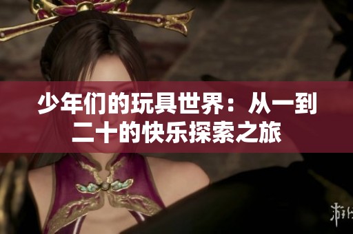 少年们的玩具世界：从一到二十的快乐探索之旅