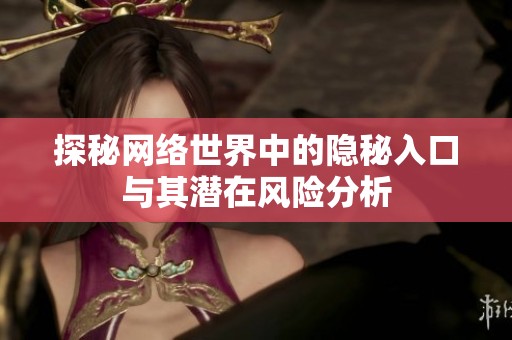 探秘网络世界中的隐秘入口与其潜在风险分析