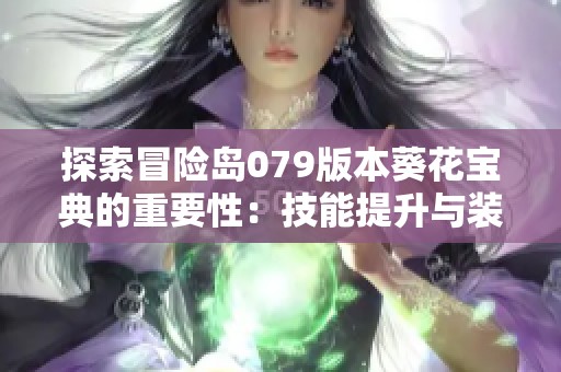 探索冒险岛079版本葵花宝典的重要性：技能提升与装备搭配的完美结合
