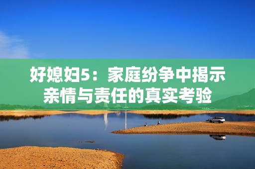 好媳妇5：家庭纷争中揭示亲情与责任的真实考验
