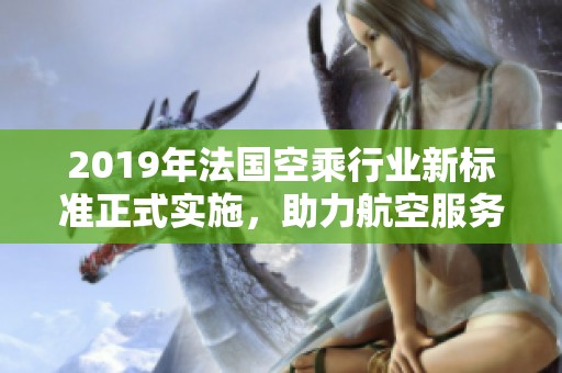 2019年法国空乘行业新标准正式实施，助力航空服务提升