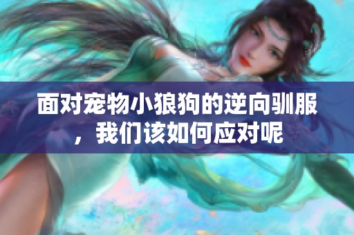 面对宠物小狼狗的逆向驯服，我们该如何应对呢