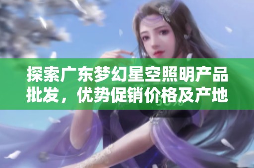 探索广东梦幻星空照明产品批发，优势促销价格及产地信息一览