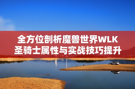 全方位剖析魔兽世界WLK圣骑士属性与实战技巧提升的全面指南