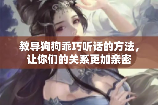 教导狗狗乖巧听话的方法，让你们的关系更加亲密