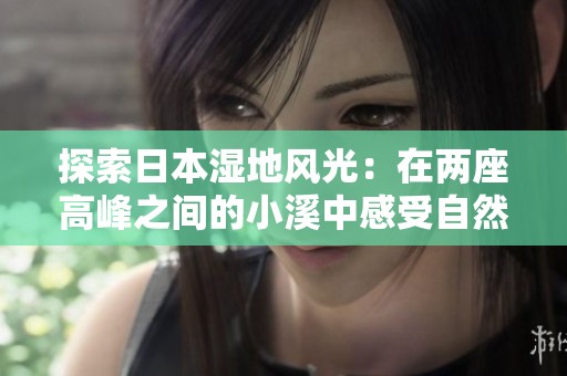 探索日本湿地风光：在两座高峰之间的小溪中感受自然的诗意之美