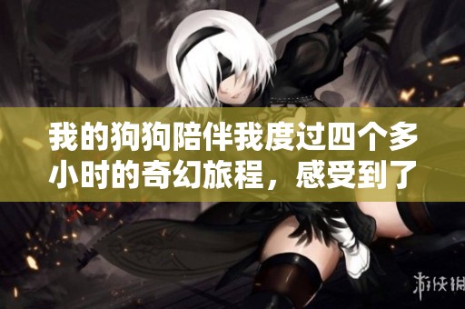 我的狗狗陪伴我度过四个多小时的奇幻旅程，感受到了无尽欢笑与温馨的时光