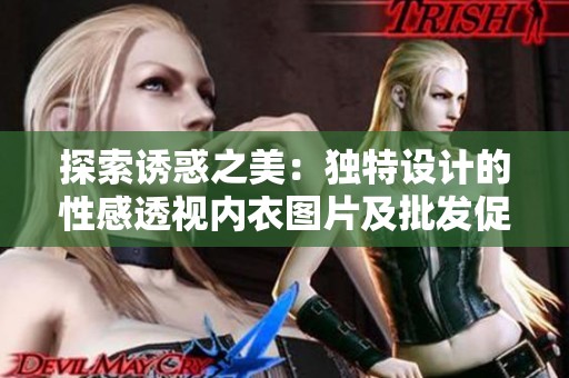 探索诱惑之美：独特设计的性感透视内衣图片及批发促销信息分享