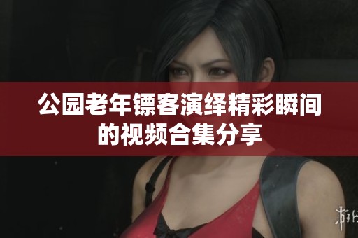 公园老年镖客演绎精彩瞬间的视频合集分享