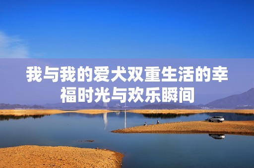 我与我的爱犬双重生活的幸福时光与欢乐瞬间