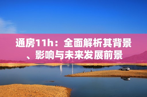 通房11h：全面解析其背景、影响与未来发展前景