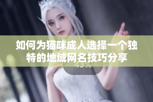如何为猫咪成人选择一个独特的地域网名技巧分享