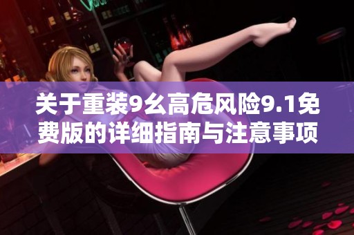 关于重装9幺高危风险9.1免费版的详细指南与注意事项