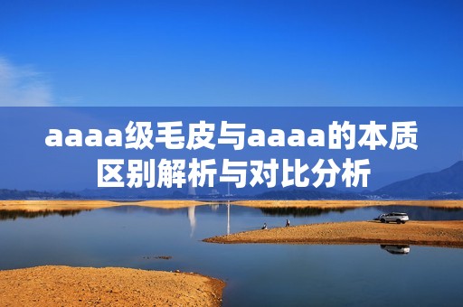 aaaa级毛皮与aaaa的本质区别解析与对比分析