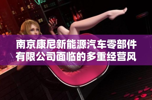 南京康尼新能源汽车零部件有限公司面临的多重经营风险分析与应对策略探讨