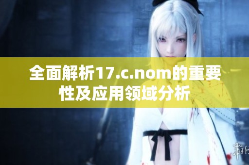 全面解析17.c.nom的重要性及应用领域分析
