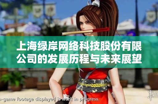 上海绿岸网络科技股份有限公司的发展历程与未来展望分析报告